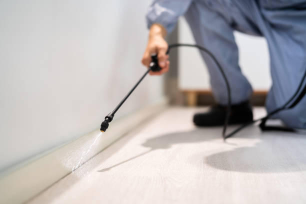 Licensed Cockroach Control service in Bridgeport, NY - Nex Pest Control