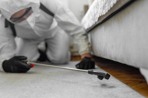 Professional Cockroach Control technician working in Bridgeport, NY
