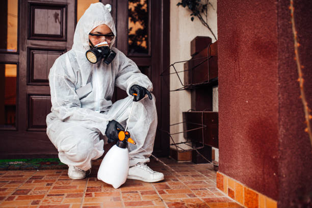Reliable Cockroach Control contractor in Bridgeport, NY by Nex Pest Control